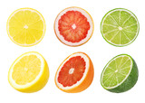 Collage of fresh citrus isolated on white background with clipping path