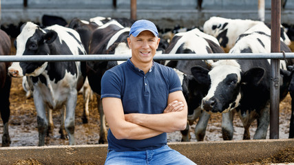 Farmer working on farm with dairy cows