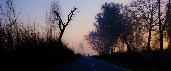 hazy path in Punjab