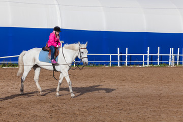 Little girl and white horse on riding field