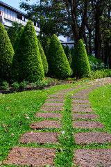 Pathway stones on green grass in the garden