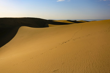 Gran Canaria island landscape of sand on beach 