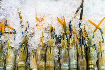 Raw large shrimps on ice at market