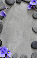Blue flower and stone zen spa on grey background