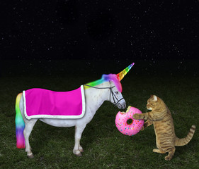 The cat is feeding its unicorn with a big pink donut in the meadow at night. Stars background.