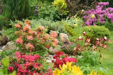 Gartenidylle mit vielen Blumen
