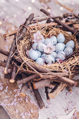 eier im natürlichen Nest mit Kirschblüten auf holztisch 