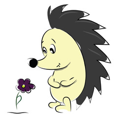 Cartoon of a cute hedgehog admiring a beautiful flower vector color drawing or illustration