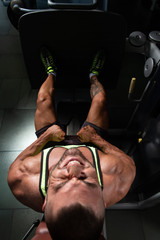 Strong Bodybuilder Training Quads
