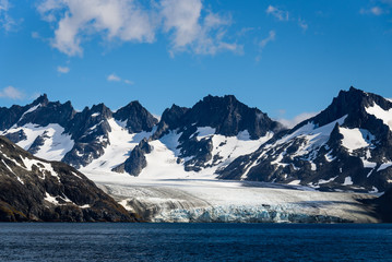 Large glacier surrounded by snowy mountains feeding into the sea at Drygalski Fjord, South Georgia