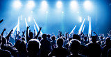 audience at rock concert