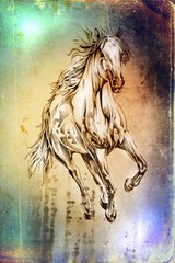 aged, animal, art, artistic, background, beautiful, beauty, beige, brown, cute, drawing, faded, farm, freehand, graphic, head, horse, illustration, image, looking, mammal, mane, mare, monochrome, must