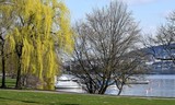 jardin public en bordure du lac