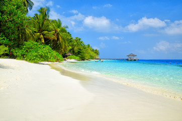 Beautiful white sand tropical beach landscape. Maldives island, Indian Ocean. Travel and summer vacation background
