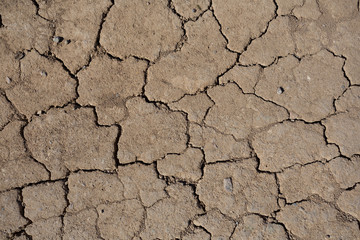 closeup dry cracked earth, natural background