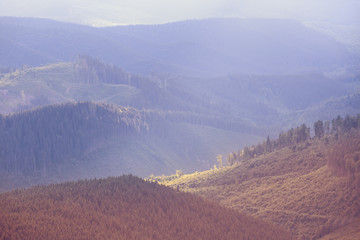 misty mountain valley, natural landscape