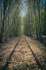 Alte Bahnschienen im Wald
