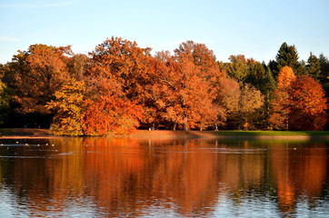 Bäume Wasser Herbst