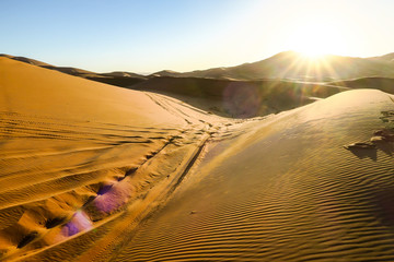 landscape in sahara desert, photo as background