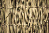 Highly detailed bamboo background. Perfect natural texture.