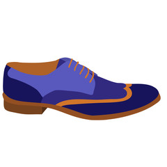 blue men's shoes, isolated, vector