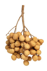 Bunch of longan Thai fruit with white isolated background