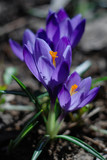 April