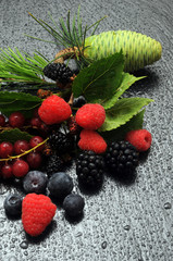 Frutti di bosco ft7105_9990 Fruta del bosque Berry Μούρο Waldbeeren Fruit rouge 