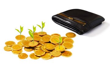 Grow small plants with gold coins stacked with pocket.
