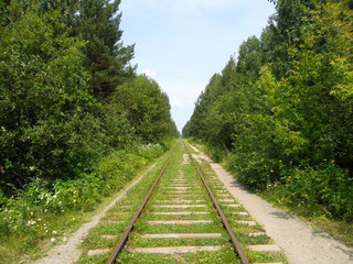  railway in the forest