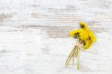Dandelion lying on wood