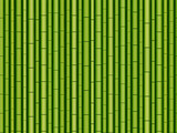 Horizontal seamless bamboo background. Vector illustration. Exotic green bamboo pattern with branches and leaves