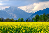 Paesaggio primaverile