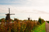 mill in Unesco place Kinderdijk, The Netherlands, along river Alblas