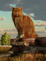 A very shaggy orange cat sits on the remains of a stone wall and looks back at you with that look of disdain that only felines can give. 3D Rendering