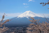 富士山と満開の桜