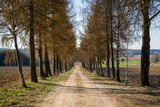 Cmentarz muzułmański - mizar w Bohonikach, Polska, Podlasie