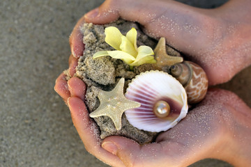 sand, shells and starfish in the hands, vacation concept