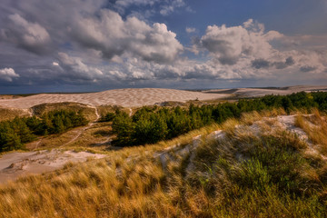 Moving sand dunes, Slowinski National Park, Leba, Poland