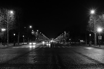 The Avenue des Champs-Élysées, Paris, France