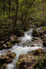 small mountain stream