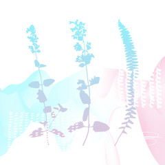 Abstract floral botanical background. Realistic herbs, flowers, plants in pastel colors with doodles , texture and gradient ribbon in pastel colors on white background.