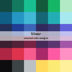 Stock vector color guide. Seasonal color analysis palette for winter type. Type of female appearance