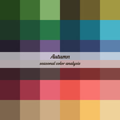 Stock vector color guide. Seasonal color analysis palette for autumn type. Type of female appearance