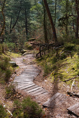 Wooden Outdoor Steps for erosion protection in Fontainebleau forest