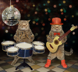 The two cats perform in a nightclub. One plays the acoustic guitar and the second plays the drums. 