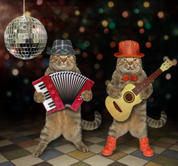 The two cats perform in a nightclub. One plays the acoustic guitar and the second plays the accordion. 