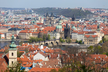 Spring Prague City with Charles Bridge and green Nature with flowering Trees, Czech Republic