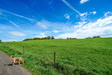 Deutsche Mittelgebirgslandschaft