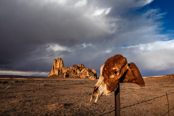 Horse skull on a fence post in a western desert landscape